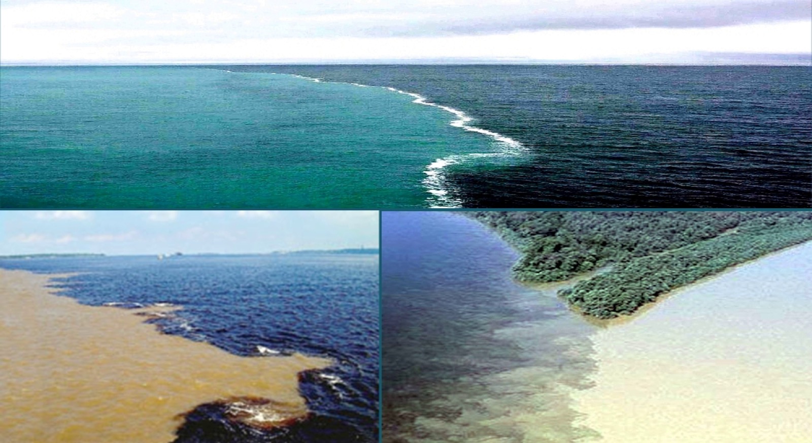 في الصميم – البرزخ رحلة فاصلة بين عالمين – بقلم شام صافي