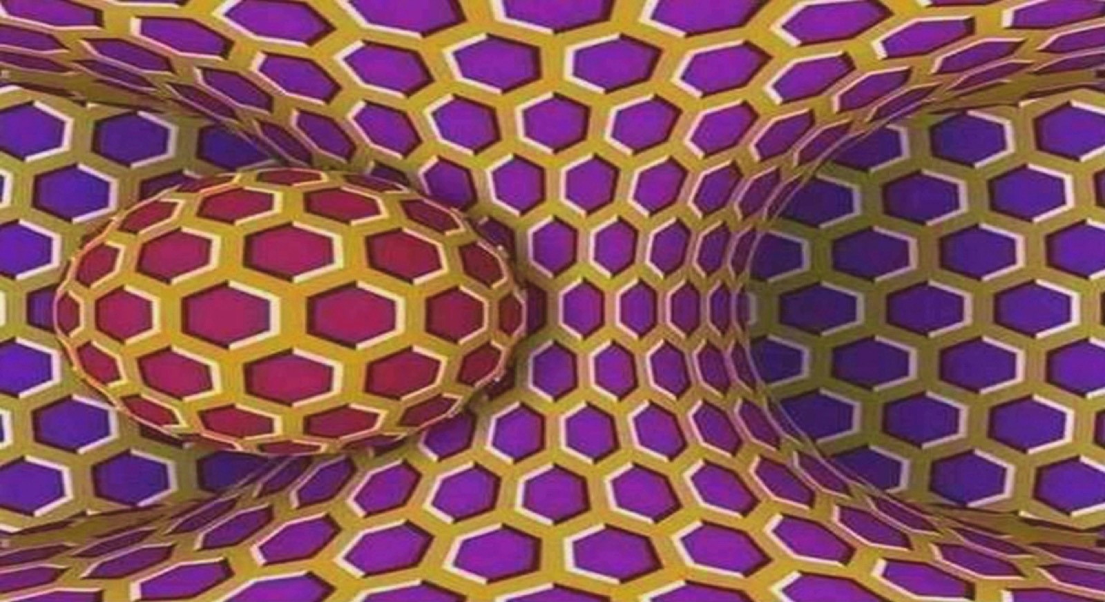 شبكة – الثورة في آفاق افتراضية