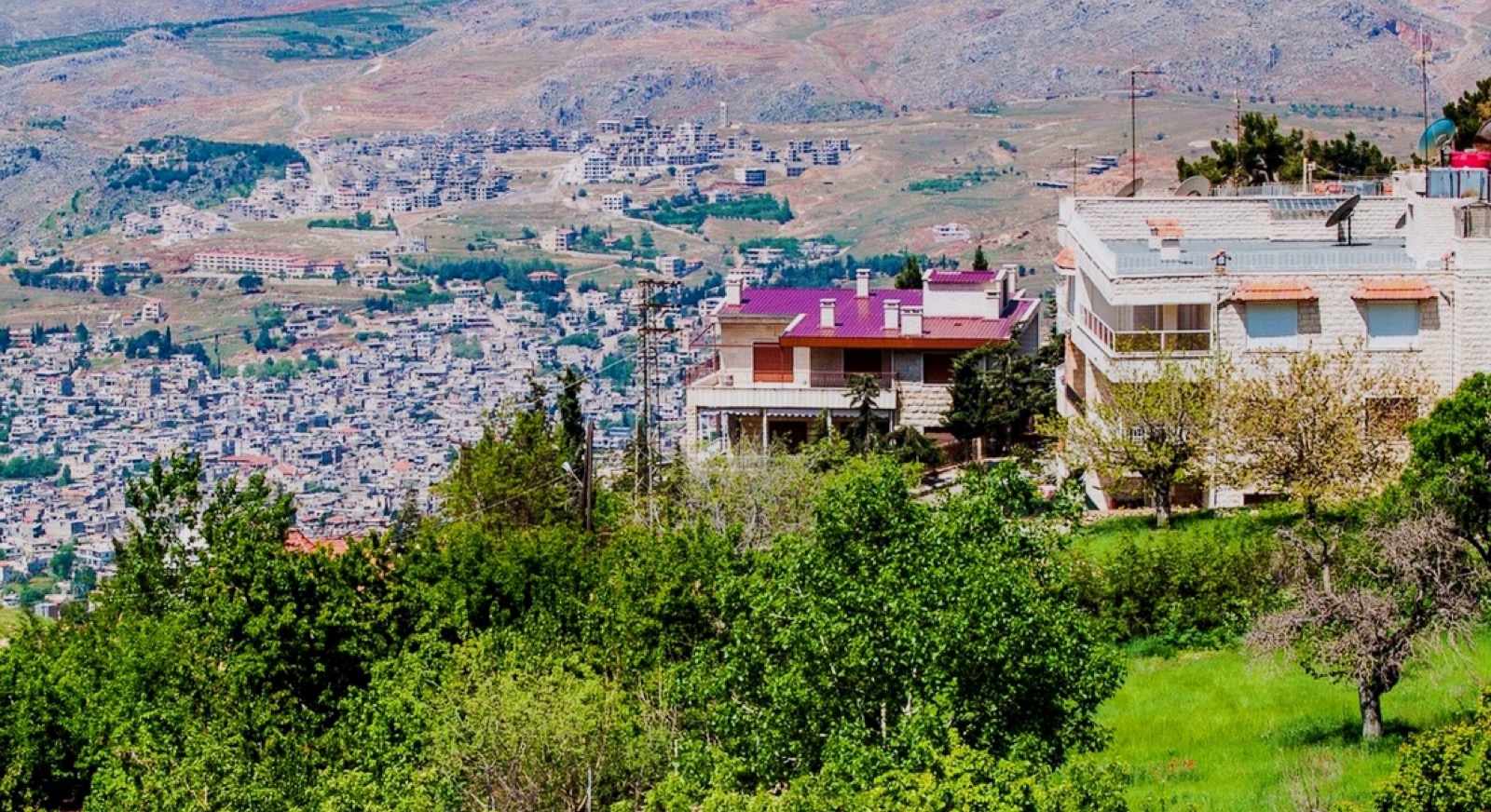 الزبداني سورية