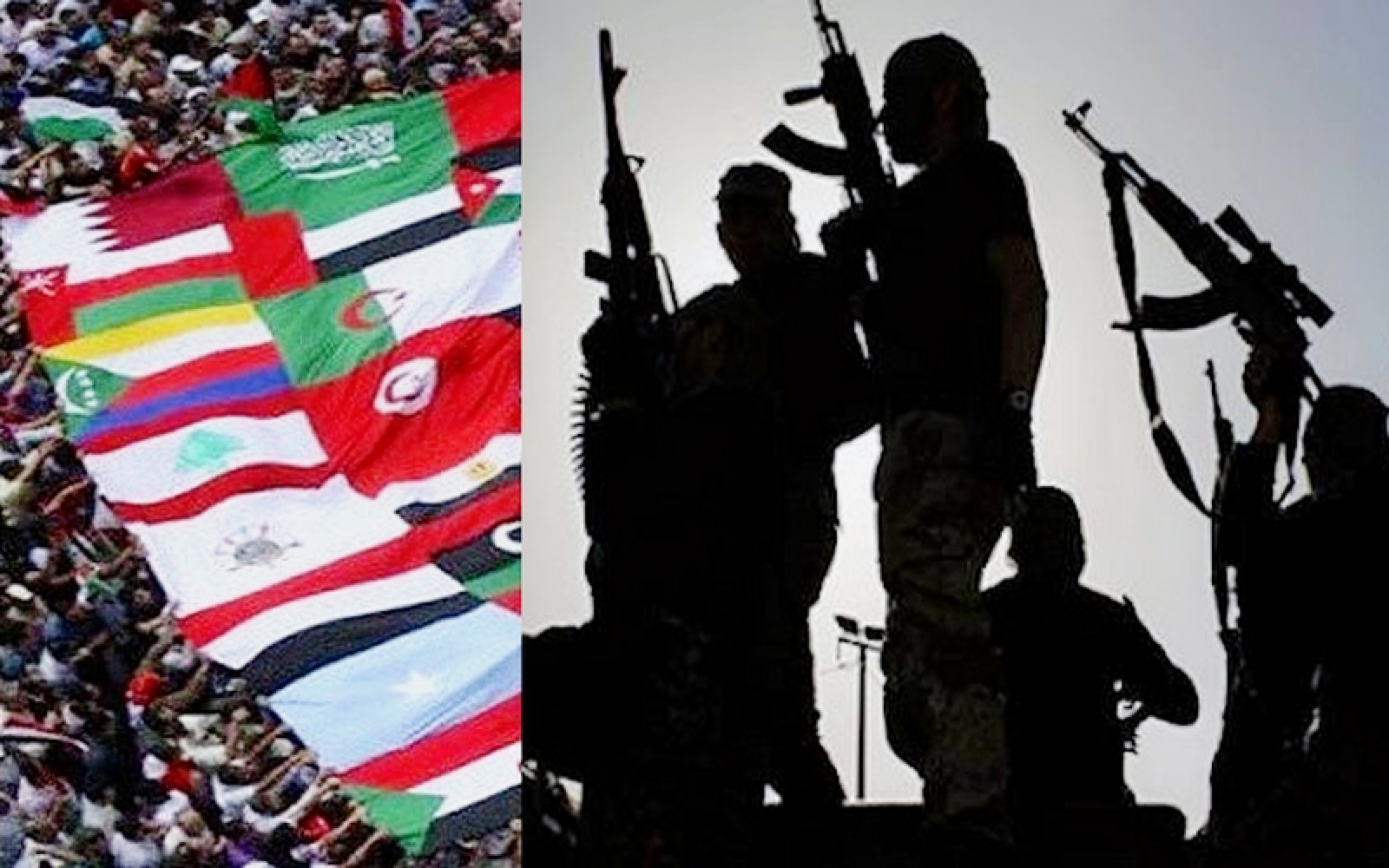 بلادنا – واقع الجيوش العربية