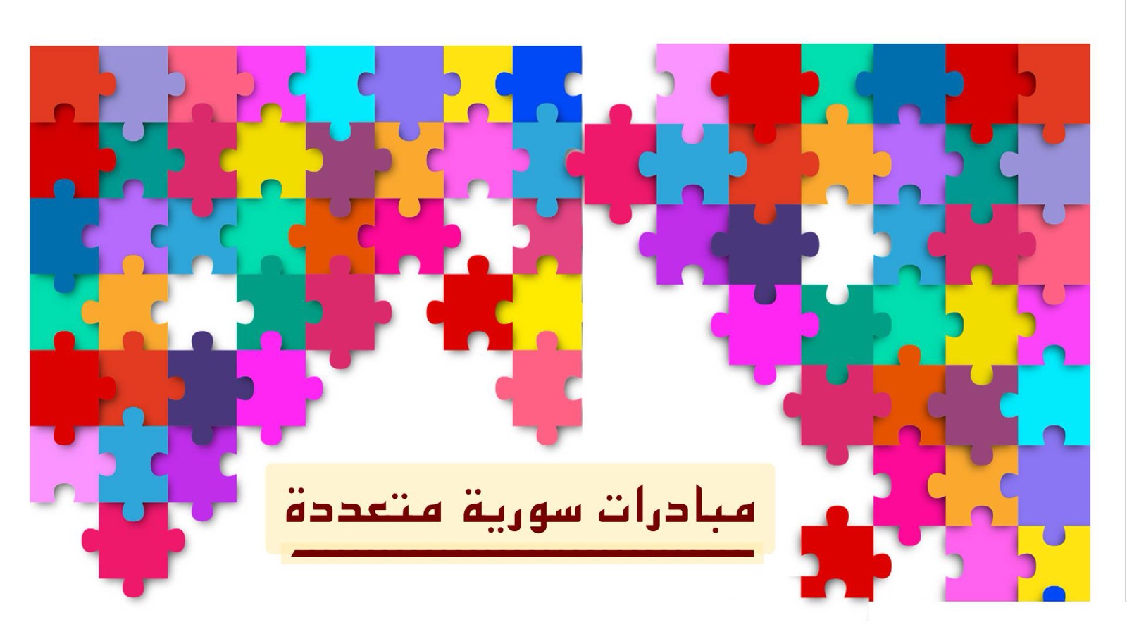 مبادرات سورية متعددة