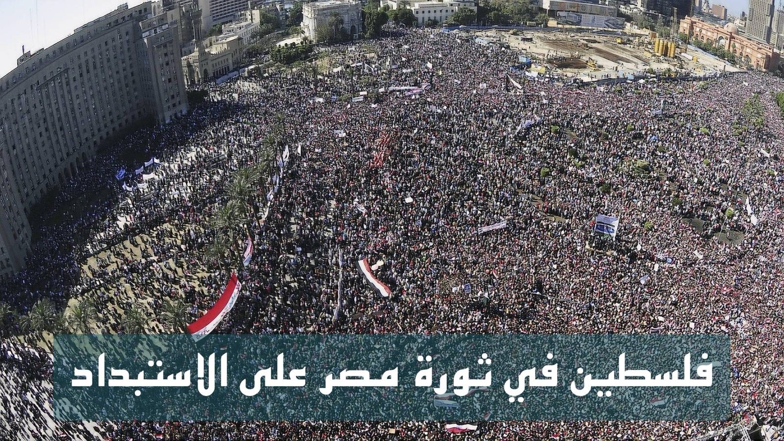 ثورات – فلسطين في ثورة مصر على الاستبداد