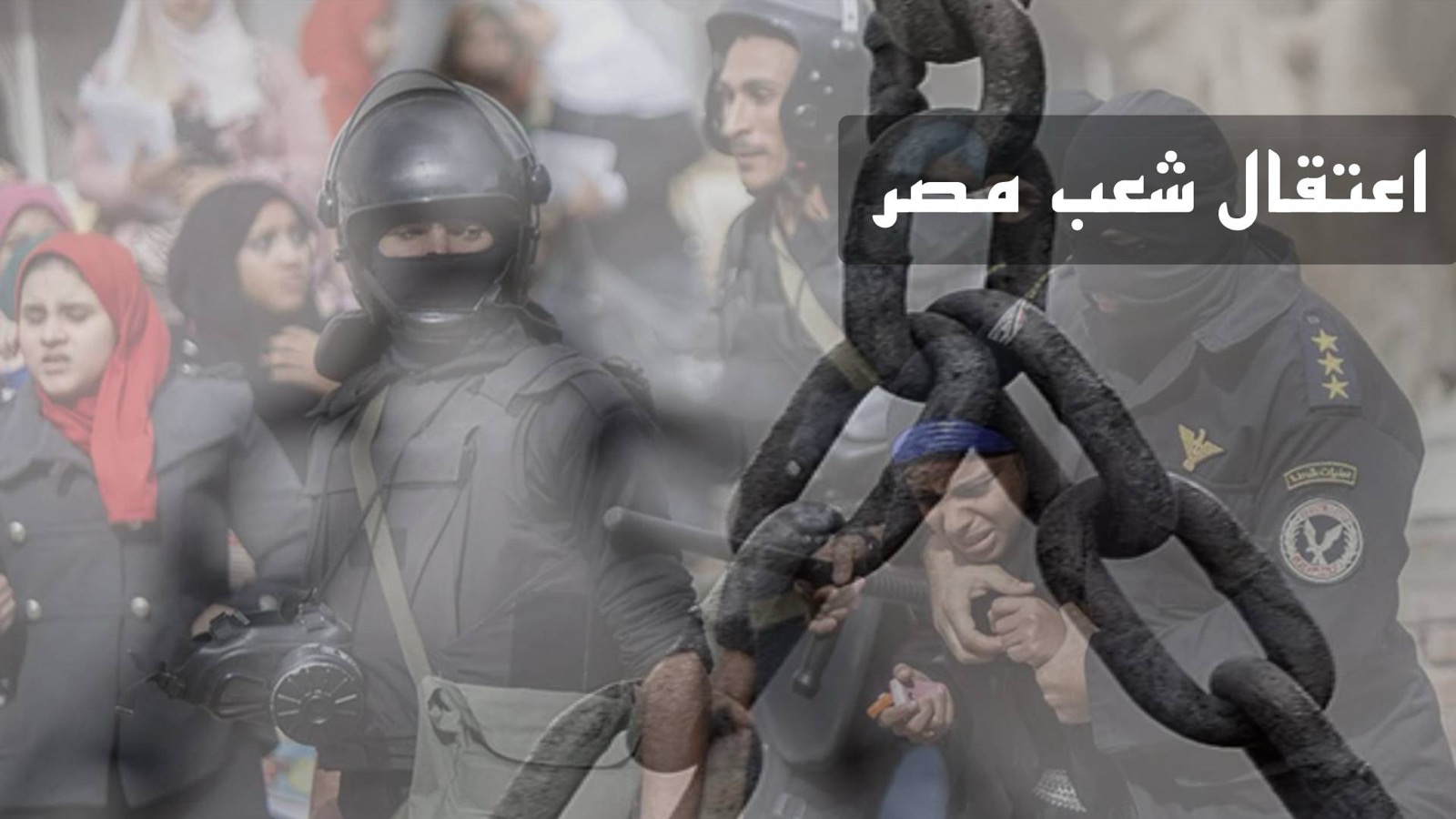مصر – اعتقال شعب