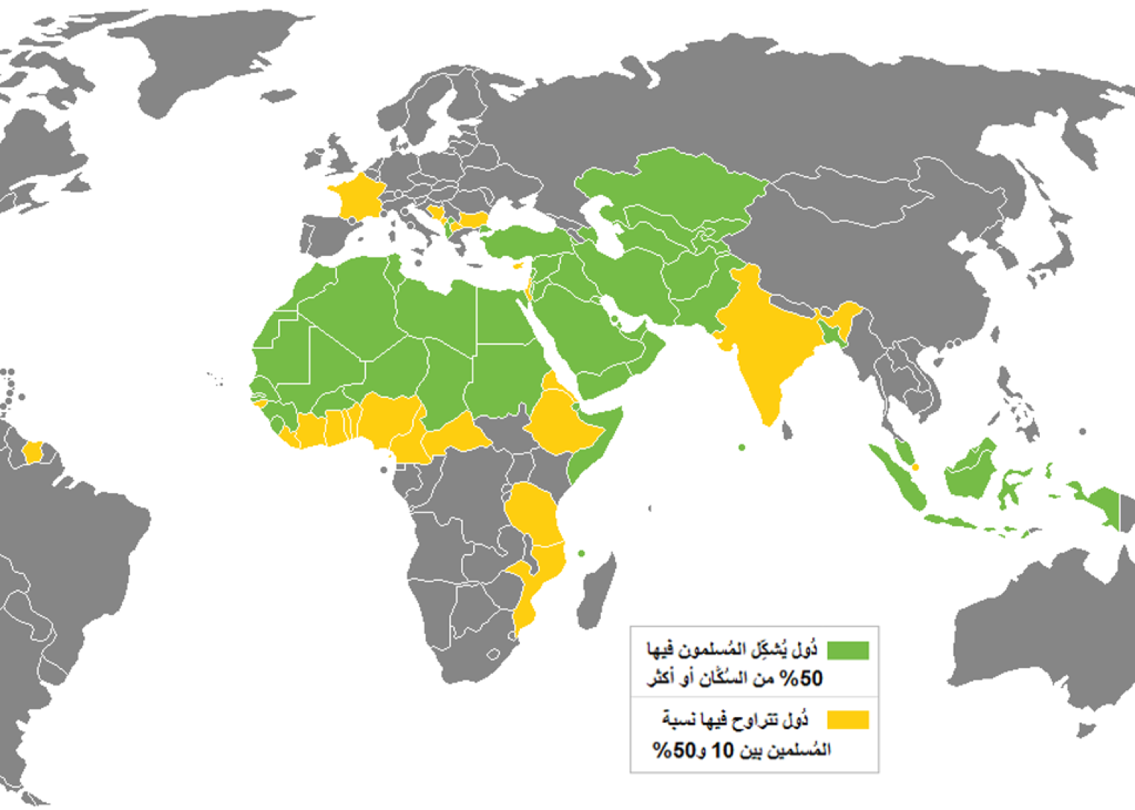 رؤية – استهداف الإخوان المسلمين وعموم التيار الإسلامي