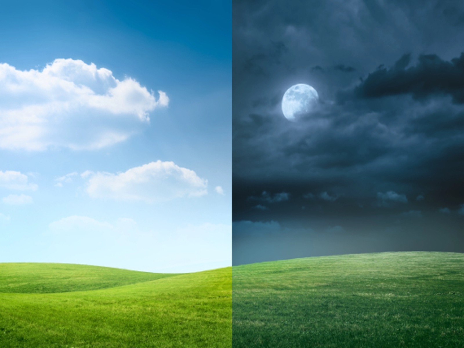 الثورات في فم الخطر