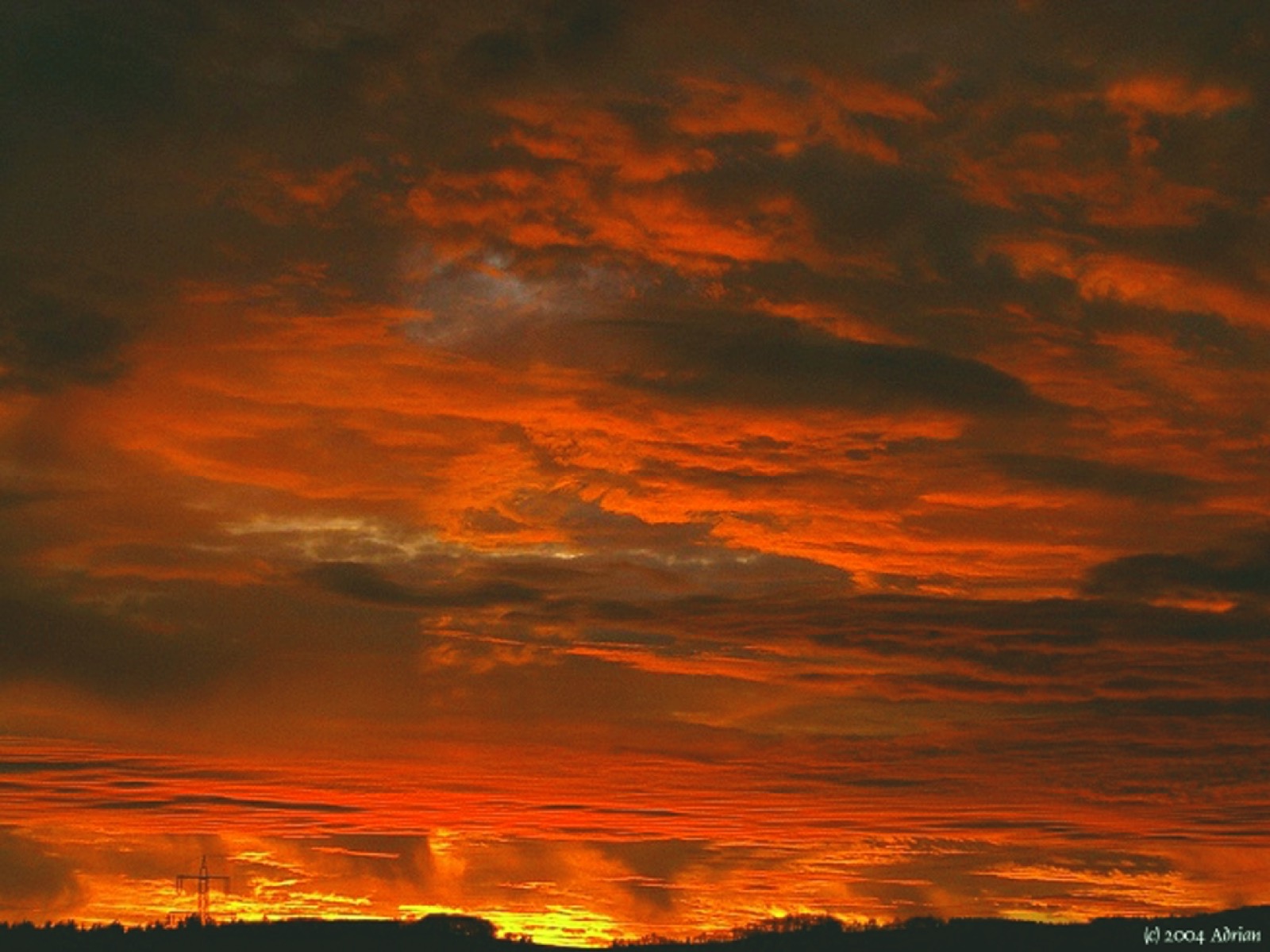 التطوير الجذري للعمل الإسلامي واجب مصيري