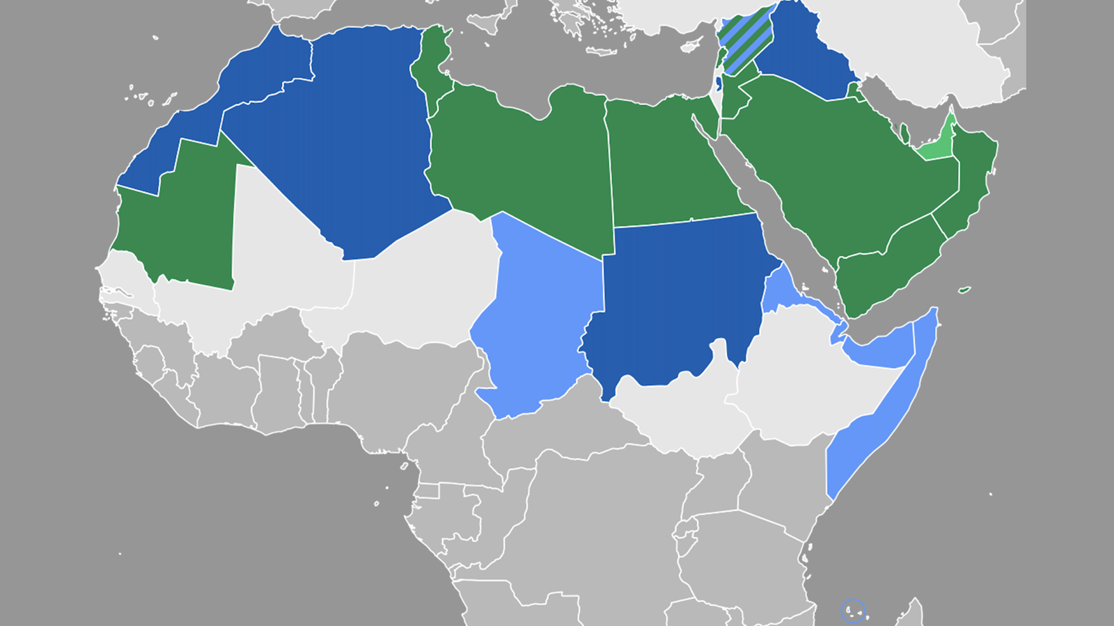 خاطرة – اللغة العربية وغيبوبة المسؤولين