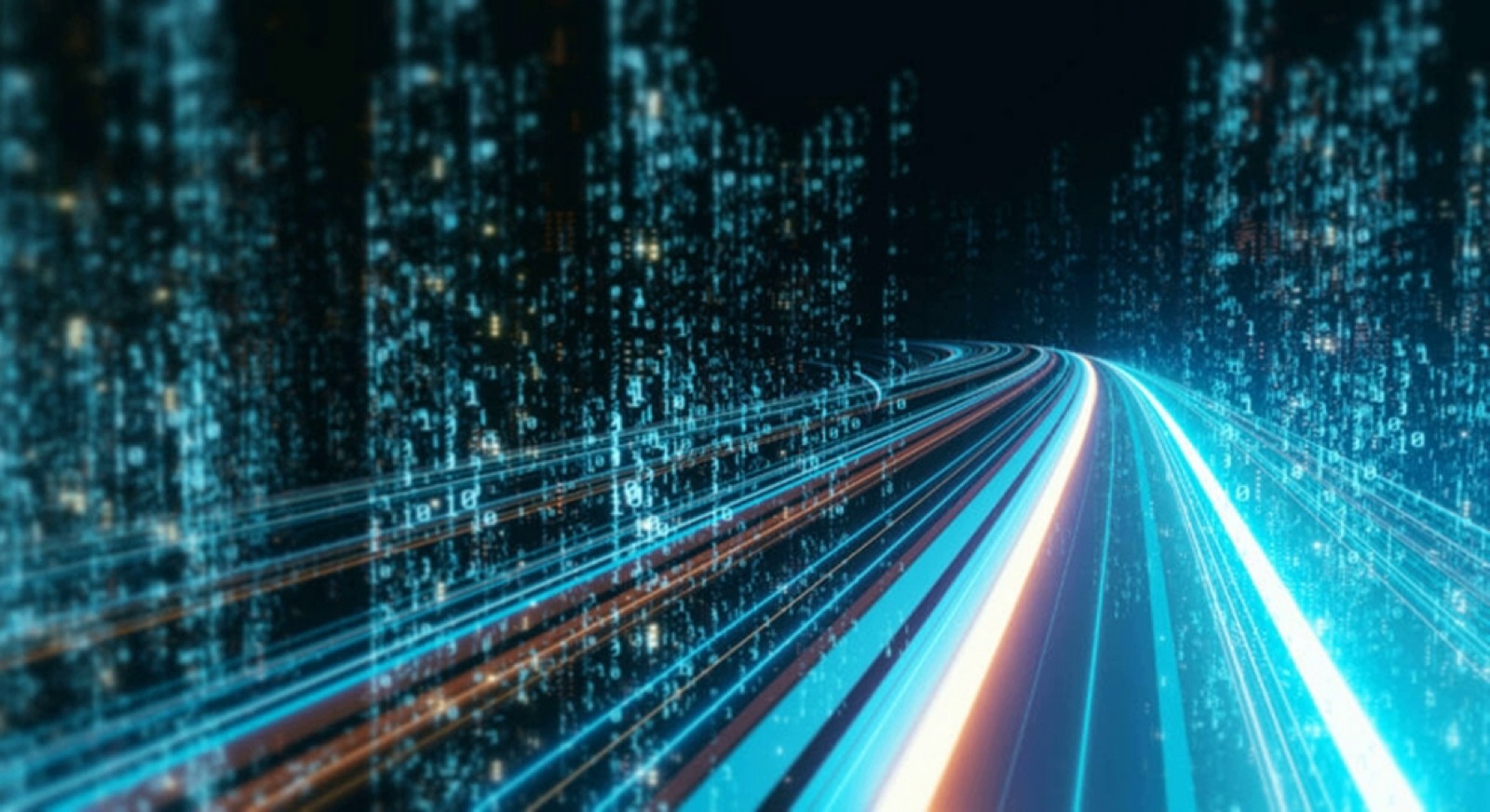 شبكة – قبل أن يرتد إليه طرفه