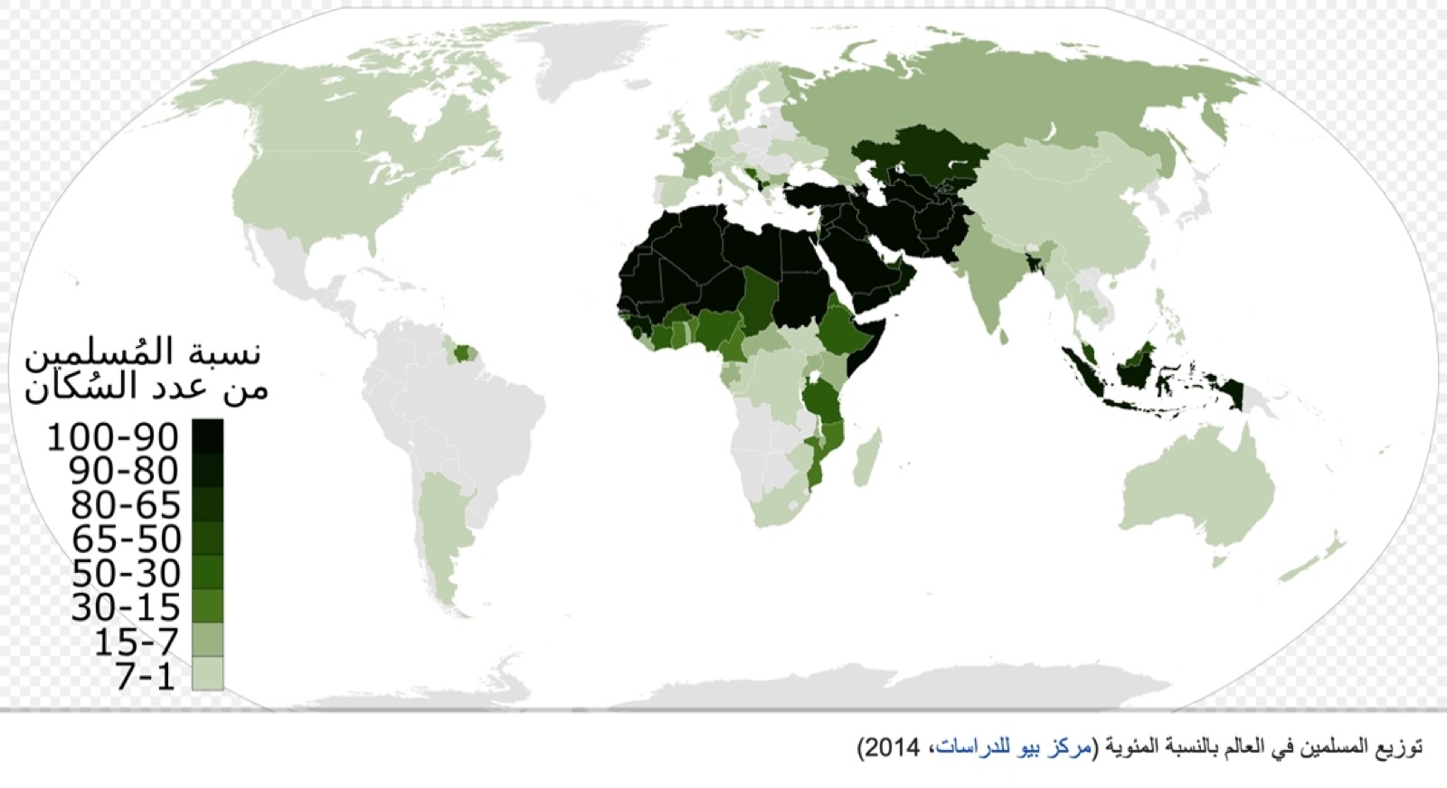 الاختلافات بين الأقليات المسلمة واقعها وأثرها