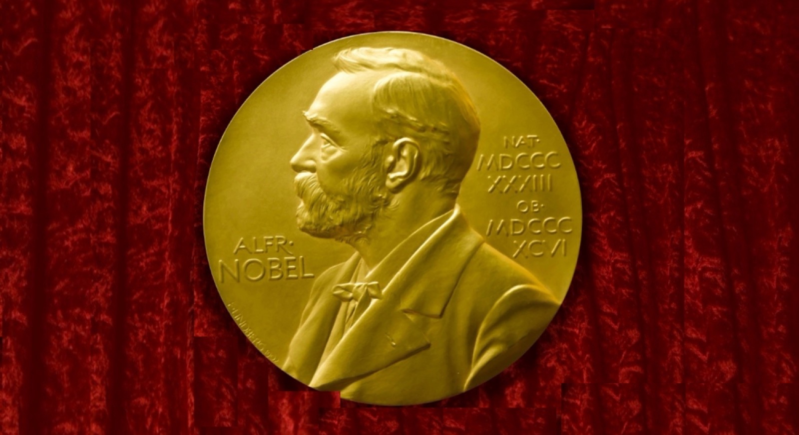 عالمنا – الجوائز وموقعها من الواقع