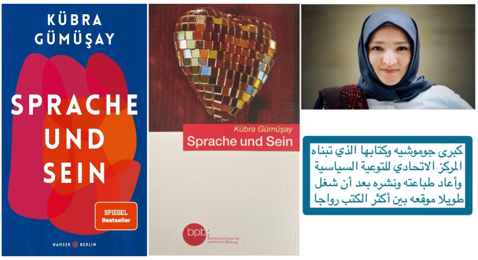 اللغة والكينونة – بقلم كبرى جوموشيه