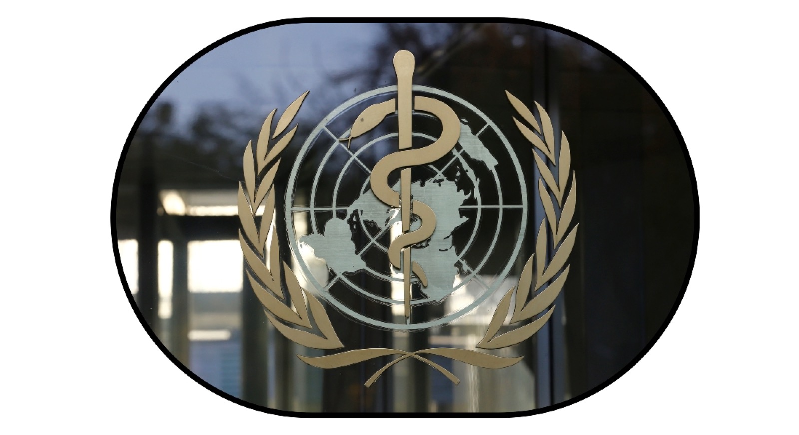 منظمة الصحة العالمية