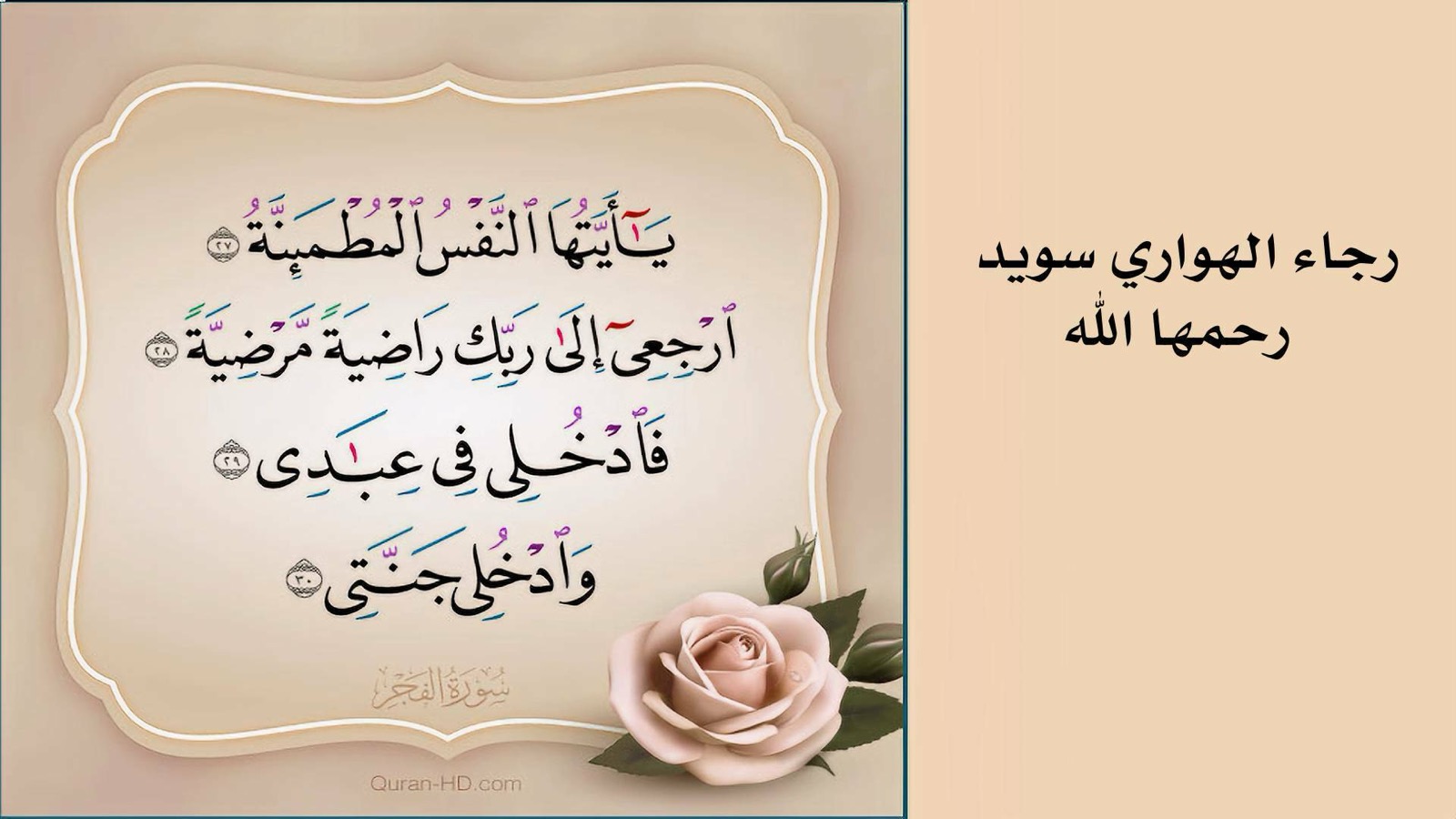 كلمة وفاء – أم خلاد.. رجاء الهواري