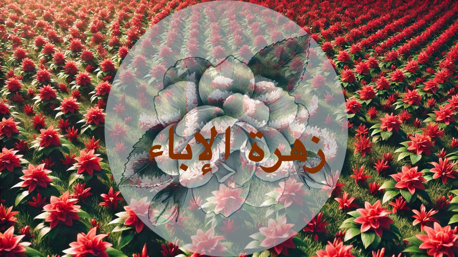 قافية – زهرة الإباء