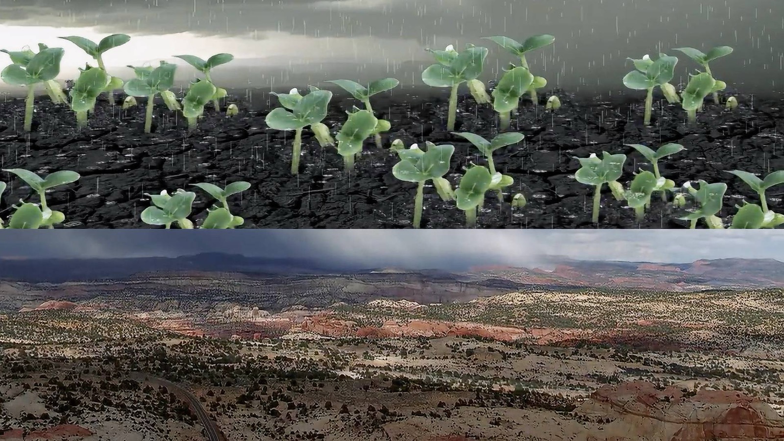 إلى أحفادنا من جيل التغيير